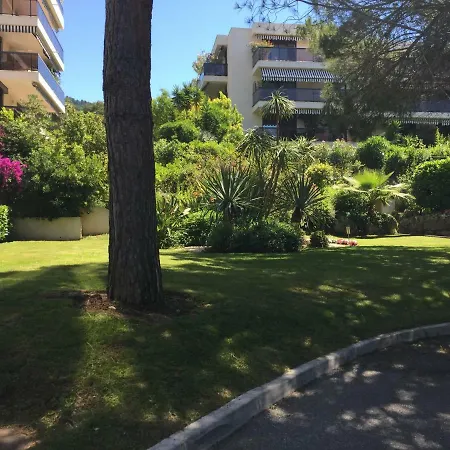 Un Coin De Paradis * Cannes