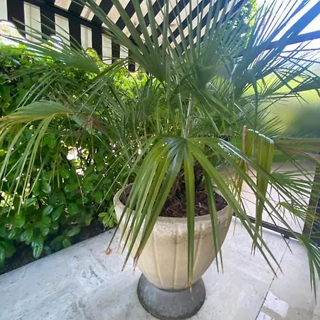 Un Coin De Paradis Appartement *